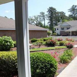 A suburban garden with neatly arranged bushes and trees.