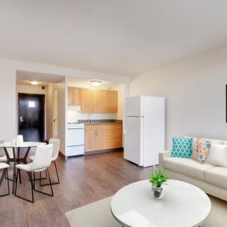 A modern apartment interior featuring an open-concept living room and kitchen.