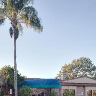A residential house with a prominent palm tree and a clear blue sky in the background.