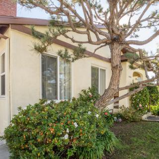 A residential house exterior featuring a tree and bushes in the front yard.