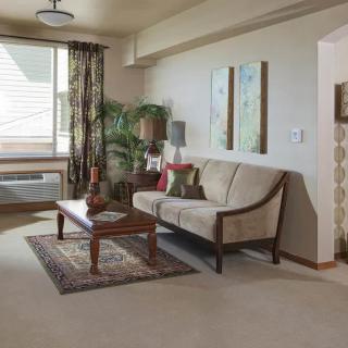 A cozy living room with a sofa, coffee table, houseplant, and decorative elements.