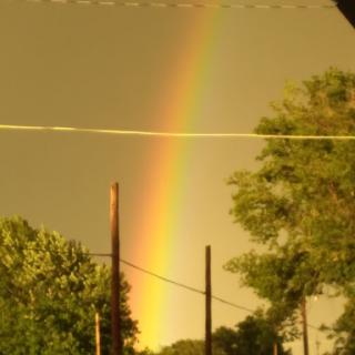 A vibrant rainbow arches across a golden sky, framed by lush greenery.