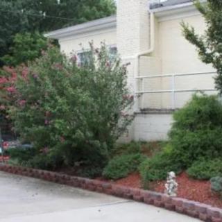 A landscaped garden with bushes alongside a building exterior and pathway.