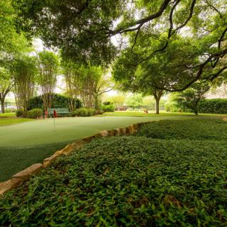 A serene garden landscape with lush greenery and towering trees.