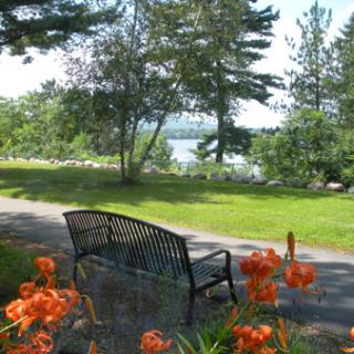 A tranquil park scene featuring a bench surrounded by vibrant flowers, with a view of the water in the background.