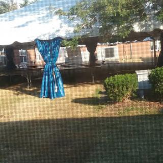 A view of a tent with blue curtains set up in a grassy area, surrounded by bushes.