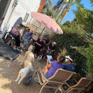 A group of people enjoying a sunny day on the patio with two dogs nearby.