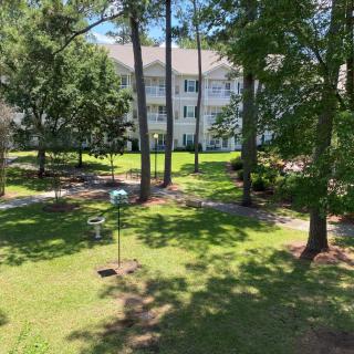A scenic view of a garden with tall trees and a building in the background basking in sunlight.