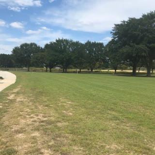 A sunny day in the park with a view of trees, grass, and a walking path.