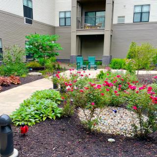 A beautifully landscaped garden with a variety of flowers and plants in front of an apartment building.