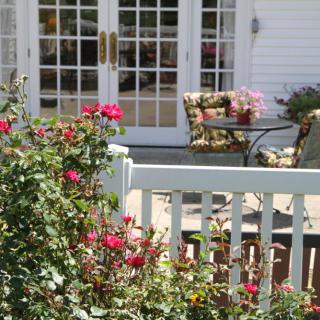 A beautiful garden with red roses and a cozy patio area beyond a white fence.