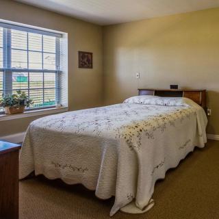 A cozy bedroom with a neatly made bed and sunlight streaming through the window.