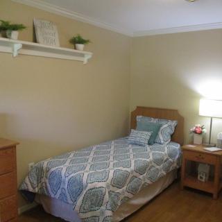 A neatly arranged bedroom with a single bed next to a nightstand and lamp, featuring simple decor, including a shelf with plants.