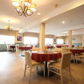 A modern restaurant dining area with neatly arranged tables and chairs.