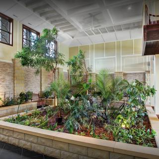 A beautifully designed indoor garden with lush greenery and ample natural light.