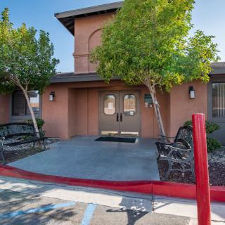 A building entrance with two trees and benches on either side of the paved pathway.