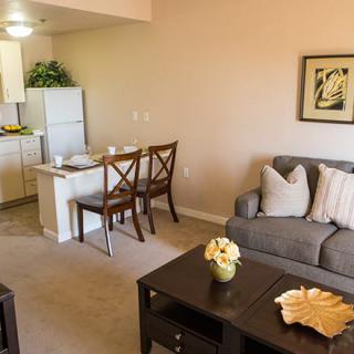 A cozy living room and kitchen area in a modern apartment, featuring comfortable furniture and stylish decor.