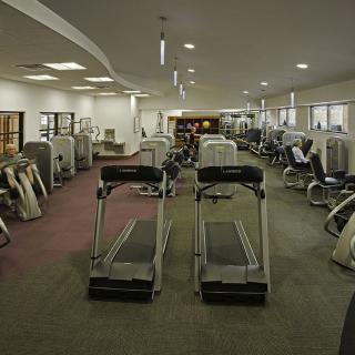 A spacious gym equipped with various exercise machines and treadmills.