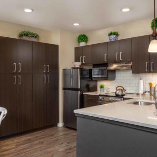 A modern kitchen with dark cabinets, stainless steel appliances, and elegant lighting.