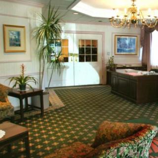 A cozy living room with patterned carpet, sofas, and decorative elements like indoor plants and artwork.