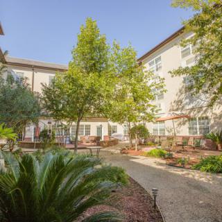 A sunny courtyard garden surrounded by a building with trees and greenery.
