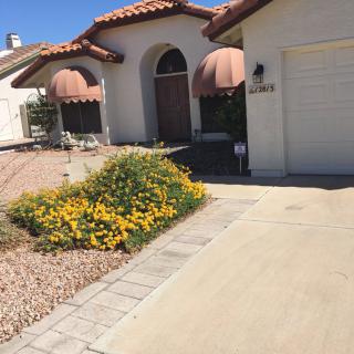 A residential house with a driveway and desert landscaping, featuring bright yellow flowers.