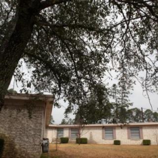 A large tree overhangs a single-story building on an overcast day.