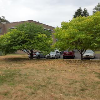 A view of a parking lot with several cars nestled between green trees on a cloudy day.