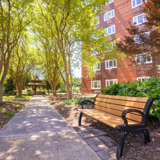 A tranquil park scene with a bench along a tree-lined pathway near an apartment building.