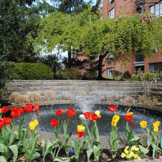 A beautiful garden with colorful tulips and a cascading fountain in front of a brick building.