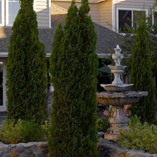 A serene garden scene with tall trees and a decorative fountain in front of a house.
