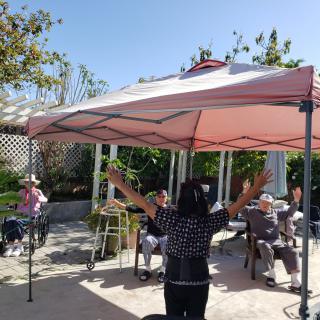 A group of people enjoying a sunny day under a garden tent.