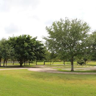 A scenic view of a park with lush green grass and trees lining a pathway.