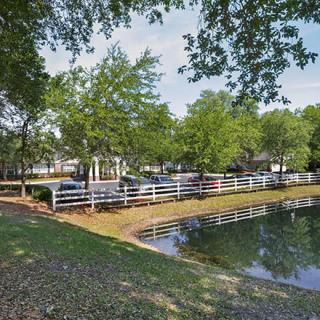 A serene park scene with a pond, surrounded by lush trees and a white fence.