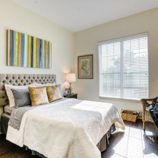 A cozy bedroom with a stylish bed, decorative artwork, and ample natural light from the window.