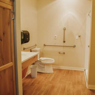 An accessible bathroom with handrails and a wooden floor.