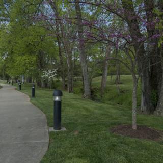 A serene park scene with a tree-lined pathway and lush greenery.