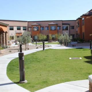 A modern courtyard with landscaped greenery and surrounding buildings.
