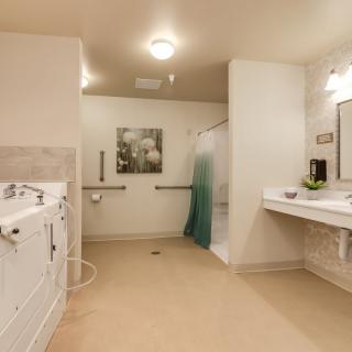 An accessible bathroom with a walk-in shower, equipped with grab bars and a modern sink area.