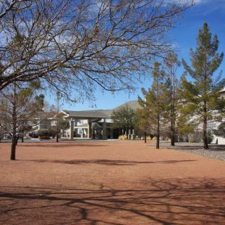 A quiet park scene with trees and a building in the background on a sunny day.