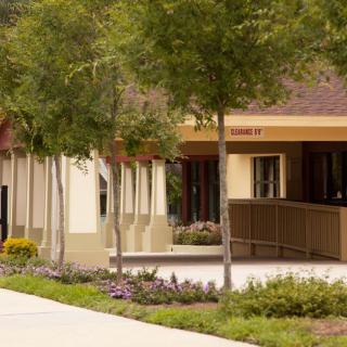 A scenic view of a building surrounded by trees and well-maintained landscaping.