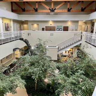A spacious indoor atrium featuring greenery and a central staircase.