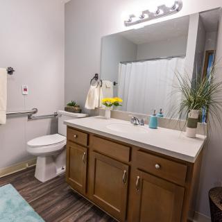A modern bathroom with a wooden vanity, large mirror, and decorative plants.