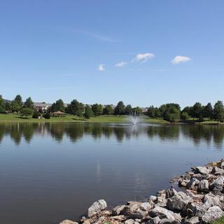A serene lake reflecting the blue sky and surrounding trees.
