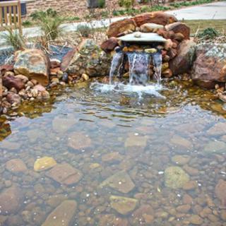 A serene garden pond with a small waterfall flowing over rocks.