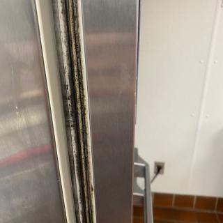 Close-up of a refrigerator door seal with visible mold.