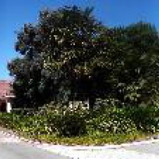 Whispering Pines Inn,  LLC