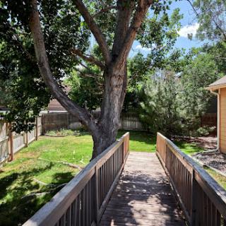 A serene view of a backyard featuring a wooden bridge leading through lush greenery and a mature tree.