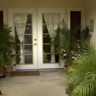 A patio entrance with glass double doors, adorned with curtains and surrounded by lush green plants.