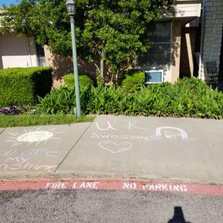 Sidewalk with colorful chalk drawings near a fire lane with no parking.